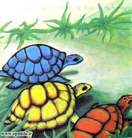 لاکپشتهایی که اطراف او بودند نگاهی به سنگی انداختند